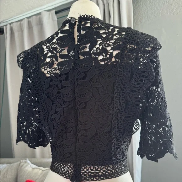 Elegant Black Lace Crop Top - Picture 3 of 7